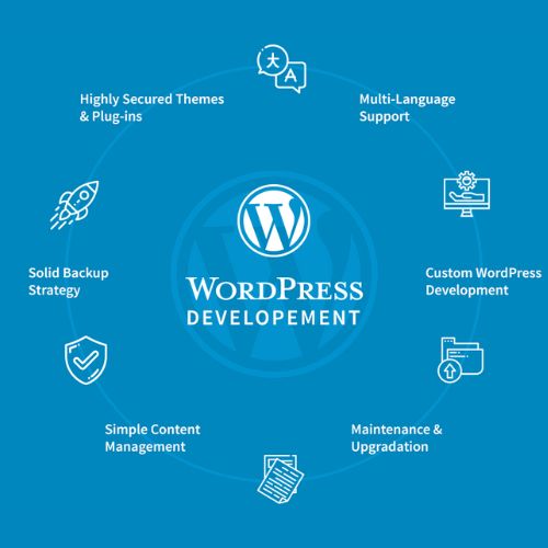 Wordpress Development